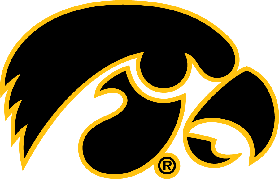 Iowa Hawkeyes 1979-Pres Alternate Logo iron on transfers for T-shirts